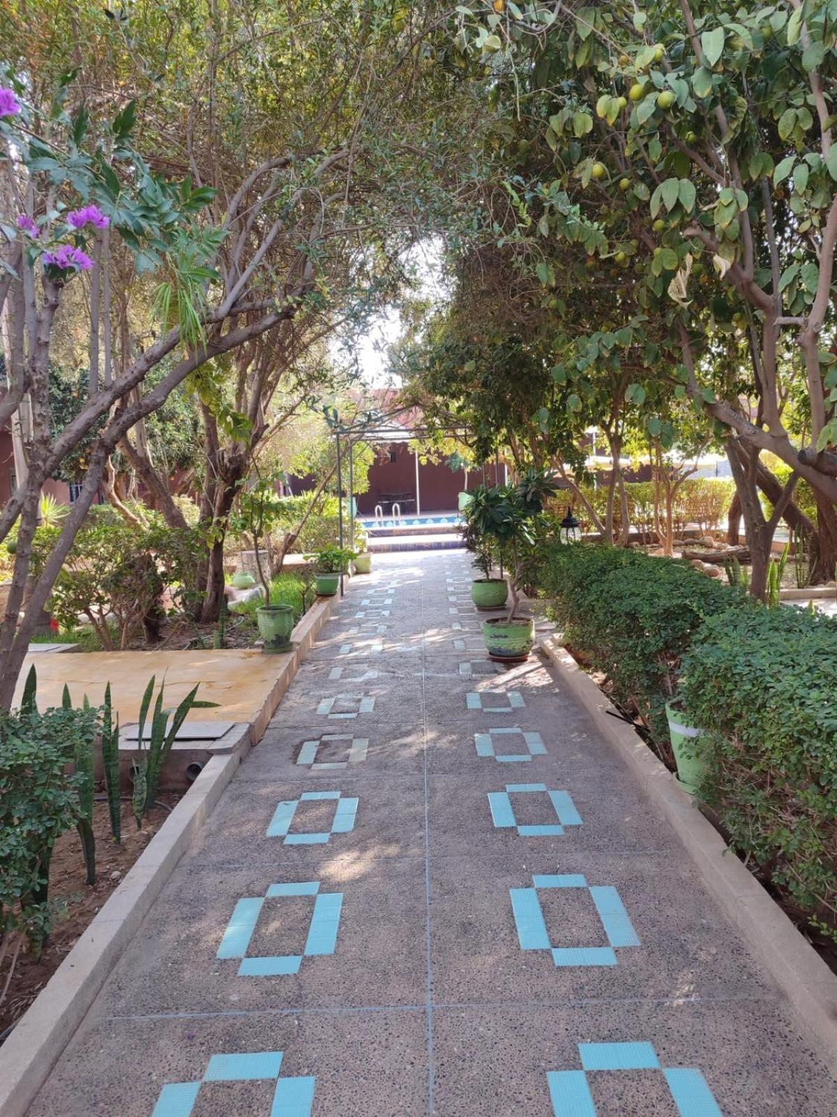 Riad Les Jardins Mabrouk Taroudant Bagian luar foto