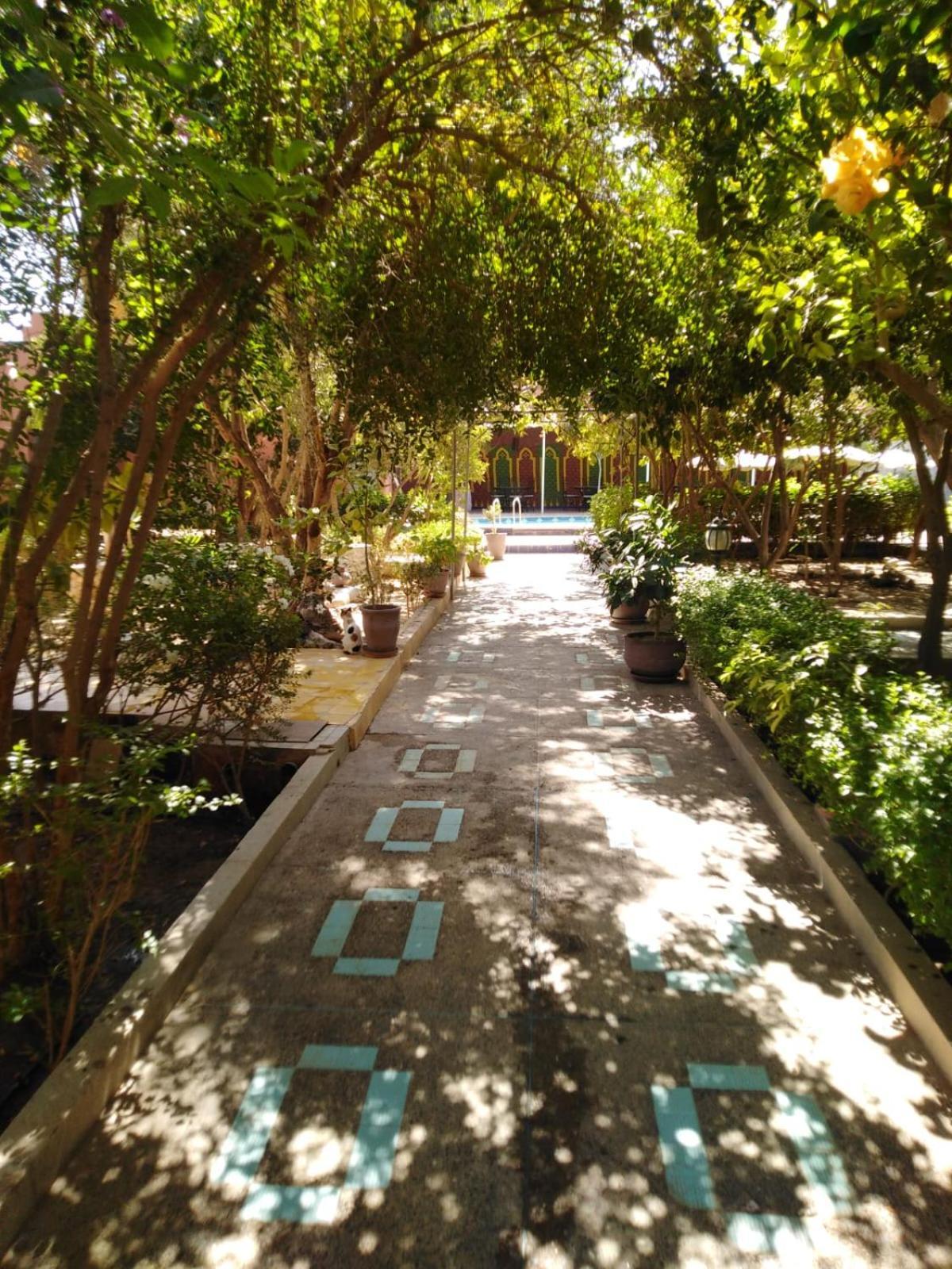 Riad Les Jardins Mabrouk Taroudant Bagian luar foto